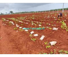 2 acre agriculture land just 4 km to Shidlagatta taluk