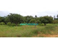 4 acre mango and mixed fruits plantation property for sale Srinivasapura