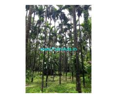 6 Acres Agriculture land sale near Belthangady