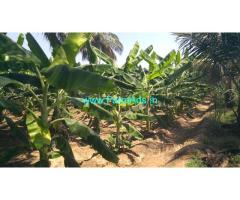 11 acre agriculture land for sale near Satyamangalam