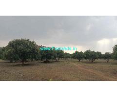 12 acres mango farm land for Sale near Gauribidanur