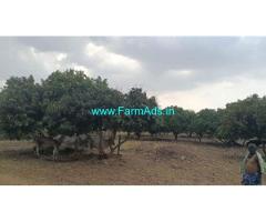 12 acres mango farm land for Sale near Gauribidanur