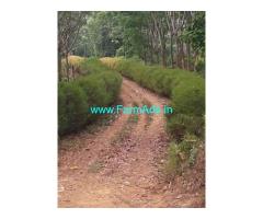 14 Acres Agriculture land sale near Belthangady