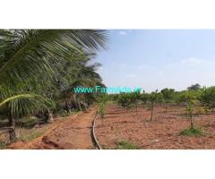 8 acre Farm Land for Sale near Koratagere taluk