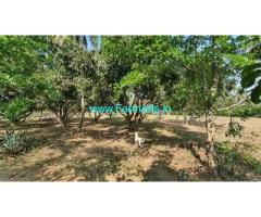 17 gunta Farm land for sale near Mysore, 10km from Mysore Palace