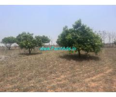 20 Gunta Mango Garden  Land for Sale nearby Hyderabad