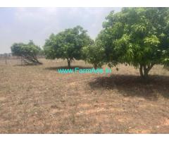20 Gunta Mango Garden  Land for Sale nearby Hyderabad