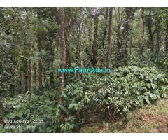 3 acre Robusta plantation sale in Mudigere