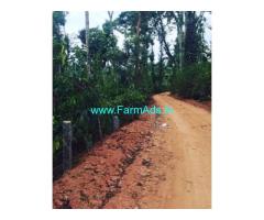 1 acre well maintained plantation for sale in Mudigere