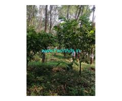 50 acres Farm land for sale in Palakkad