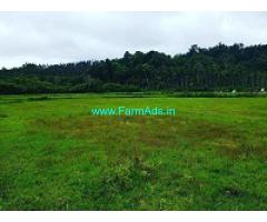 2.5 acre agri land for sale in Mudigere