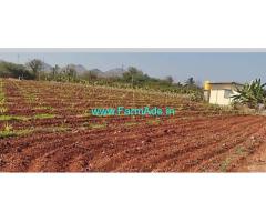 8 acre Areca nut Farm Land for Sale near Hiriyur