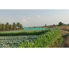 10 acre Farm Land for Sale BG pura hobli