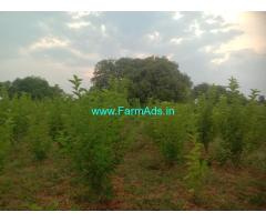 30 acres of agriculture land for sale near Sira