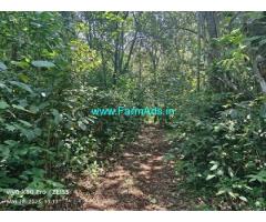 40 acre neglected plantation sale in Aldur
