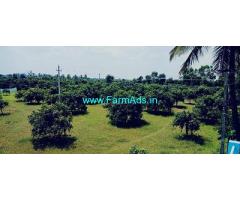 1 Acre Mallika Mango Farm Land for sale near Chintamani to Kolar Road