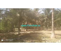 2 Acre Coconut Farm Land For sale Near Palakkad