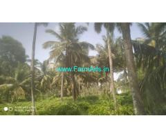 1.50 Acre Coconut Farm Land For sale Near Velanthavalam