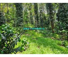 15 Acre Well Maintained Coffee Estate For Sale in Shanivarasnathe