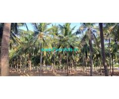 14 Acres Coconut Farm For Sale Near Negamam