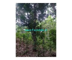 2.5 Acres of Forest Land For Sale Near Pachalur
