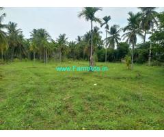 2 acre 22 gunta areca,coconut Farm land Sale in Hiriyur