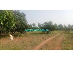 25 Acres Mango Plantation For Sale Near Chinthamani
