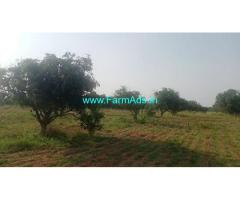 25 Acres Mango Plantation For Sale Near Chinthamani