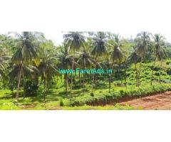 40 Acres Agriculture land sale near Belthangady