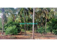 Pollachi to Govindhapuram Border 5.50 acre Coconut thottam for sale