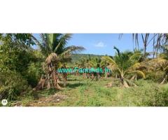 30 Acres Average Maintained Coconut For Sale In Chikkanayakanahally