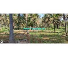 30 Acres Average Maintained Coconut For Sale In Chikkanayakanahally