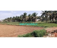 2 Acre Farm Land For Sale Near Mysore