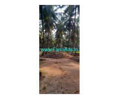 40 Acres Of Coconut Farm For Sale Near Theni
