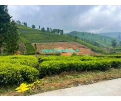 23 Acre Farm Land For Sale In Ooty