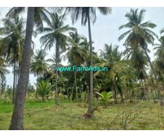 1.10 Acre Coconut Trees Farm Land For Sale in Hiriyur