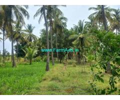 1.10 Acre Coconut Trees Farm Land For Sale in Hiriyur