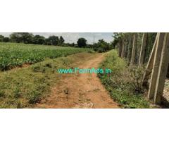 7 Gunta Agriculture Land For Sale Near Village Doora