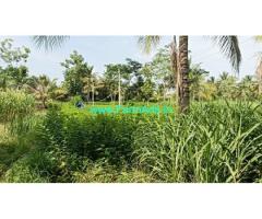 10 Gunta Agricultural Land For Sale Near Sathanur