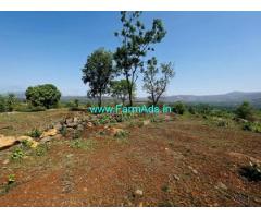 36 Gunta agriculture land for Sale in Velha