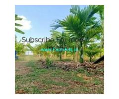 4 Acre Fully Developed Farm Land For Sale In Besaganahalli