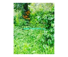 20 Acre Coffee Estate For Sale In Belur