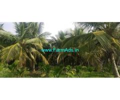 1.20 Acre Coconut Farm For Sale near Maddur.