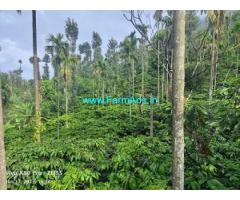 10 Acre Well Maintained Robusta Plantation Sale In Mudigere