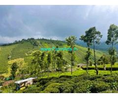 66 Cents Farm Land For Sale In Ketti Valley Ooty