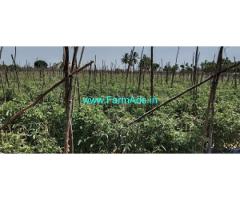 3 Acre Agriculture Land For Sale Near Chintamani