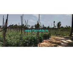 3 Acre Agriculture Land For Sale Near Chintamani