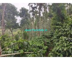 2.5 acre well maintained Robusta and house sale in Mudigere