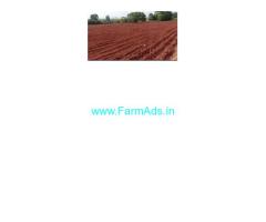 2 Acres Agriculture land for sale at Little England,Thali