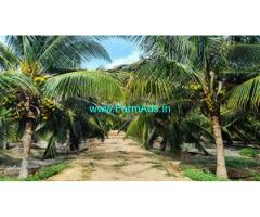 12 Acres Coconut Farm With Bungalow In Udumalaipettai For Sale